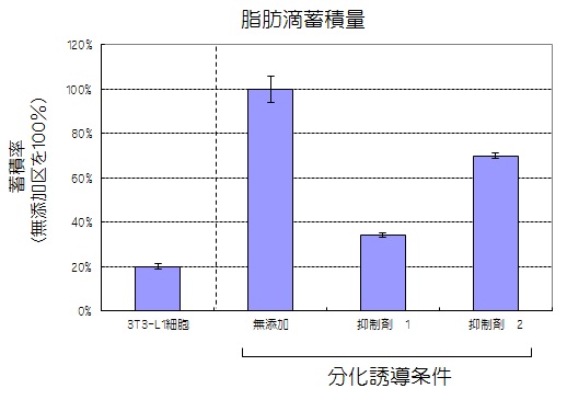 脂肪滴蓄積量抑制試験結果