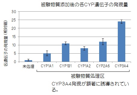 被験物質添加後の各CYP遺伝子の発現量