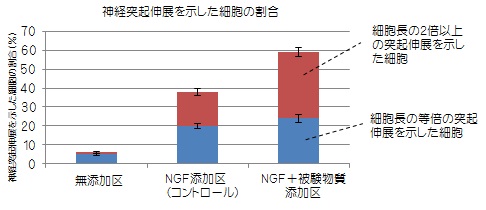 神経突起伸長を示した細胞の割合