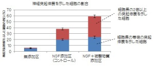 神経突起伸長を示した細胞の割合